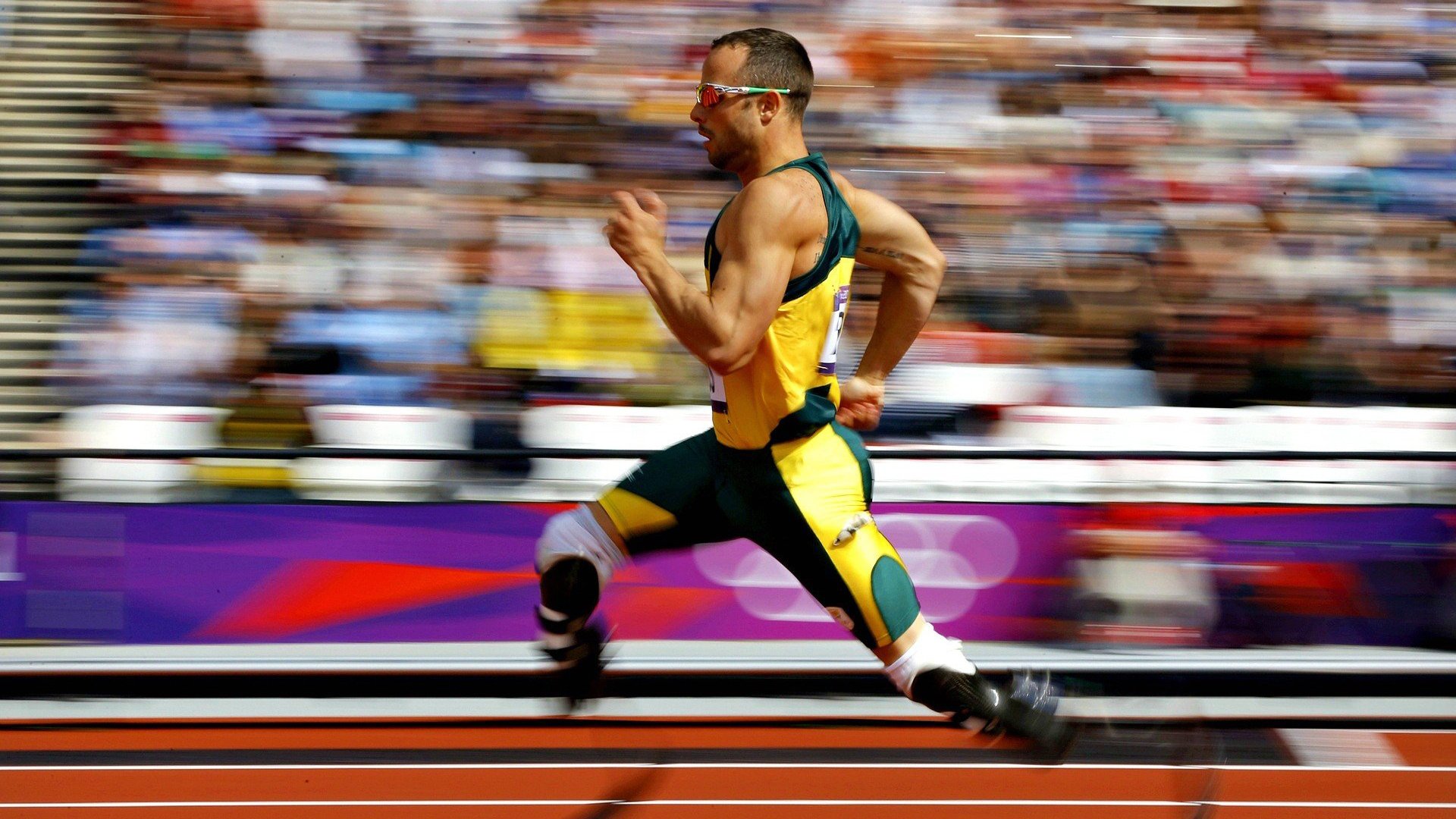 场馆翻新工程引入绿色建材标准，场地翻新